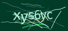 Проверочный код